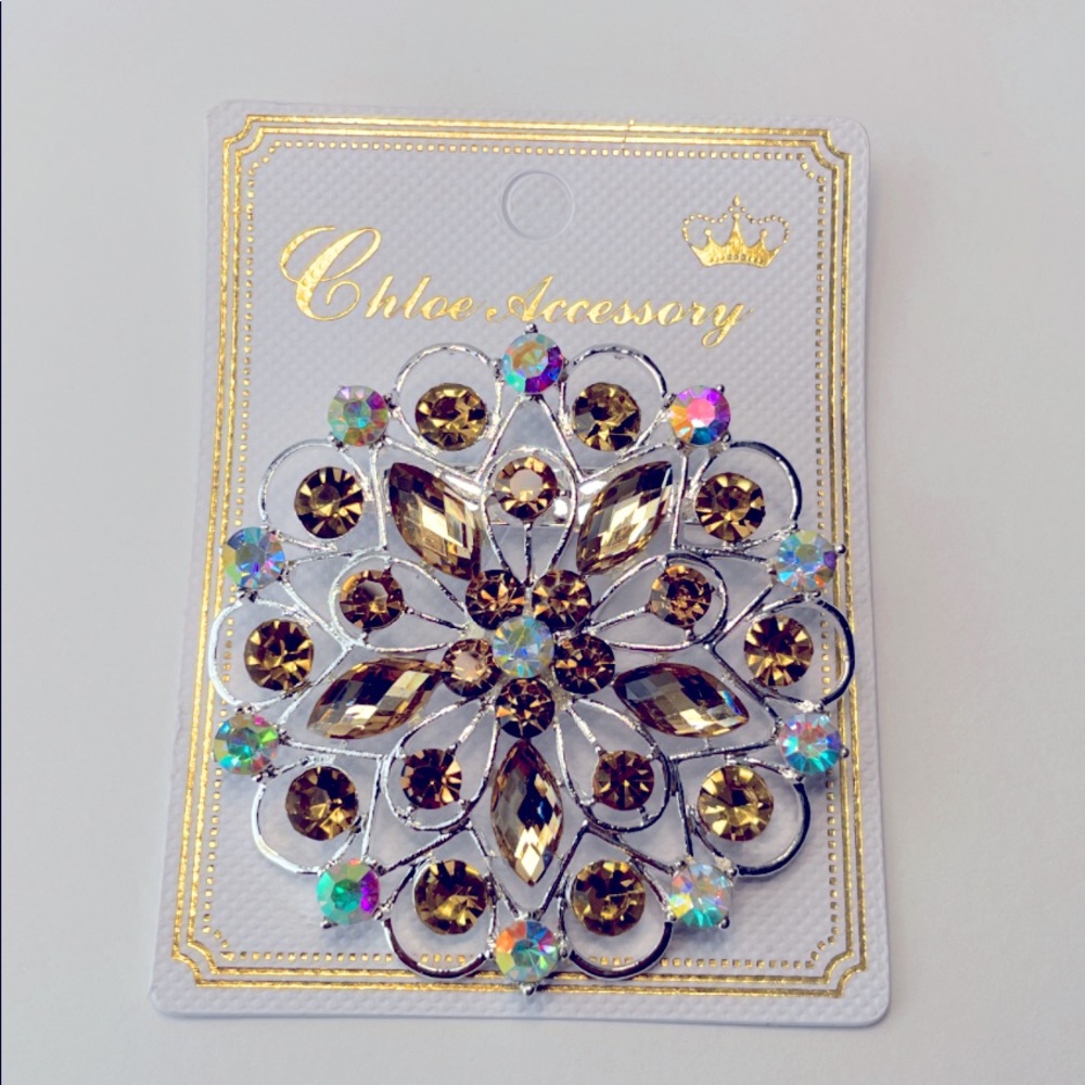 NEW Beautiful Brooch